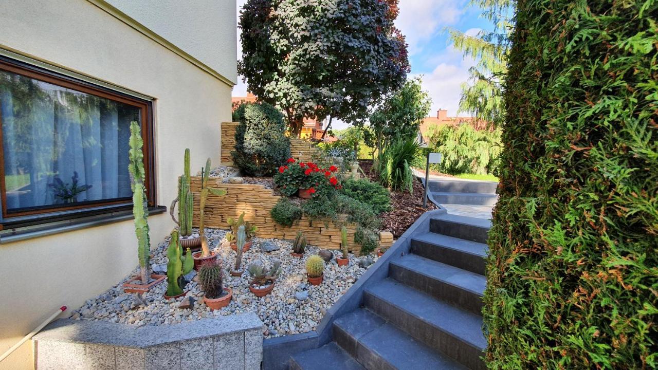 Ferienwohnung Sonnenblick Бишофсверда Экстерьер фото
